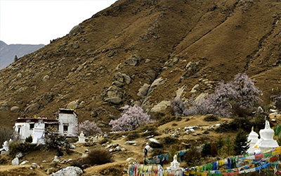 藏族天葬的起源、仪式过程及禁忌制度的文化内涵