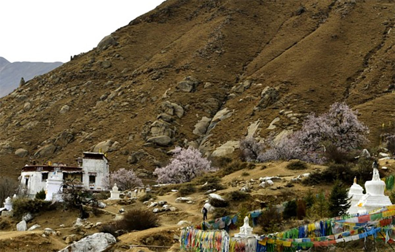 藏族天葬的起源、仪式过程及禁忌制度的文化内涵 藏族天葬的起源、仪式过程及禁忌制度的文化内涵