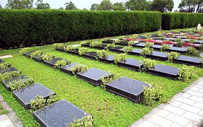 了解一下新式土葬