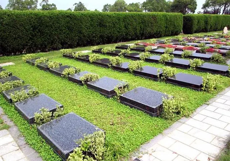 了解一下新式土葬 了解一下新式土葬