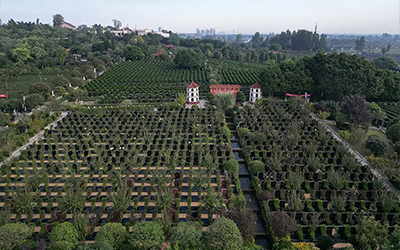 从传统墓地到网上墓地，有什么不一样的变化