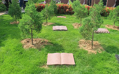 昆明生态葬方式一览：让生命以自然之名延续