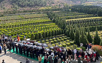 生态葬，让生命回归自然