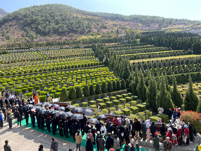 生态葬，让生命回归自然