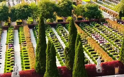 昆明市殡葬改革全力推动绿色发展