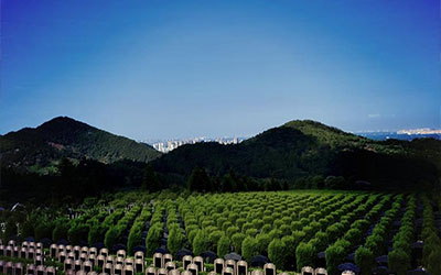 墓地价格跳水，殡葬行业的冬天真的来了？