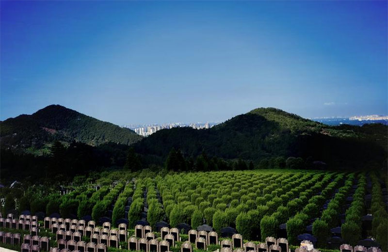 墓地价格跳水，殡葬行业的冬天真的来了