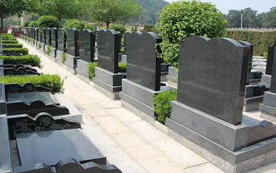 注意看这几个就是墓地风水不好的表现