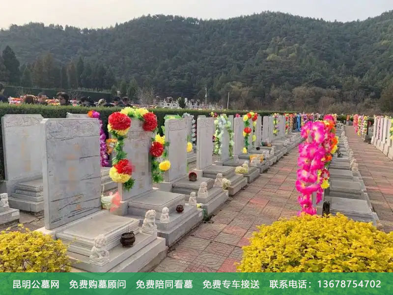 有山有水的墓地风水好吗 有山有水的墓地风水好吗