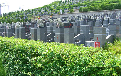购买墓地的注意事项有哪些,昆明环境好的墓地排行