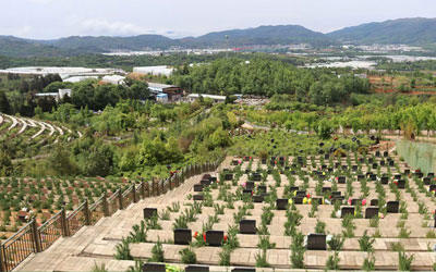 宜良县有几处公墓,昆明宜良青龙园怎么样,宜良青龙园墓地介绍
