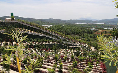 昆明青龙园公墓风水怎么样,如何在此地选墓穴