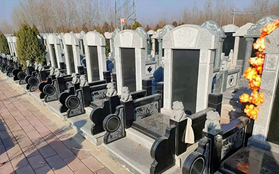 在公墓信息网选择墓地