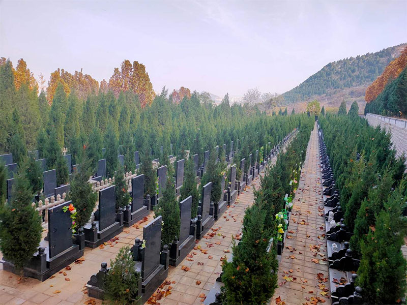 购墓应该注意什么