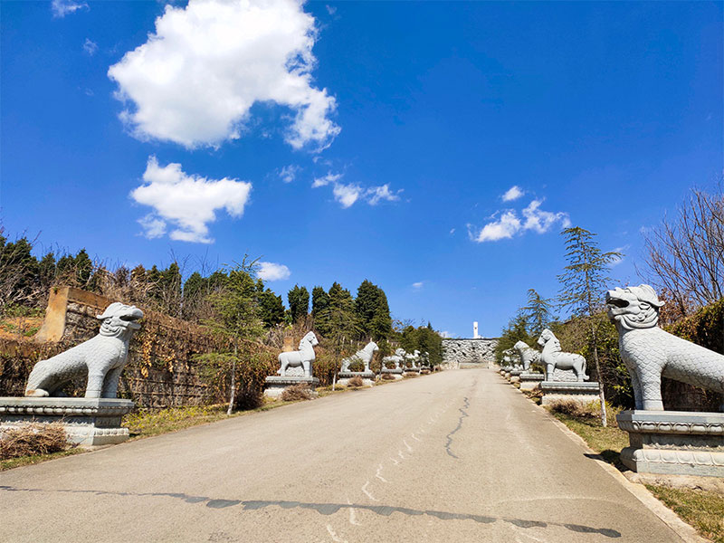 青龙园有哪些优势