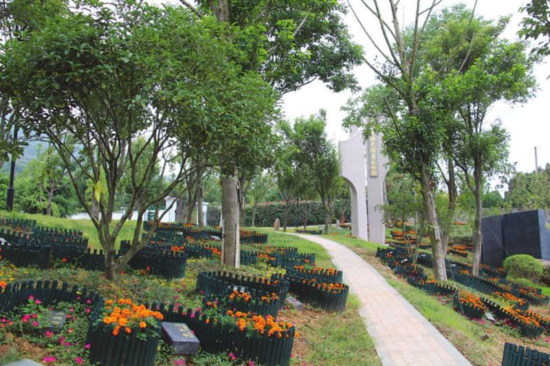 公墓信息网:择墓之树木篇 公墓信息网:择墓之树木篇