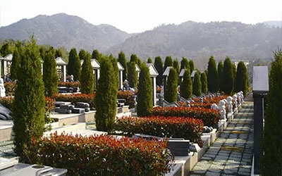 公墓信息网:购墓流程及下葬注意事项