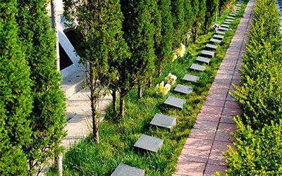 公墓信息网:购买墓地前要了解的事项