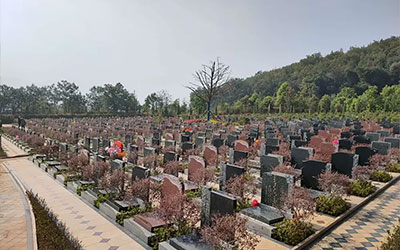 公墓信息网教你选择墓地的几点要素