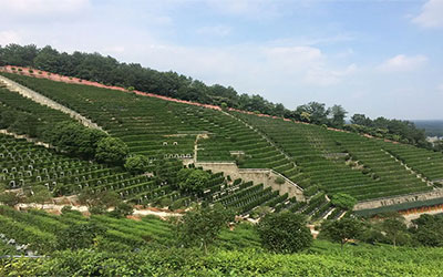 昆明购买公墓需要带哪些资料跟证件