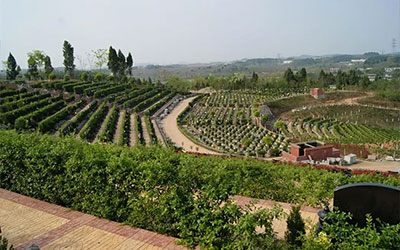 购墓流程要看好：首先需带《火化证明》 买后不得更名