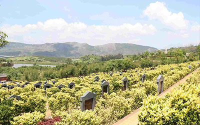 购墓攻略提前准备