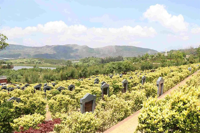 购墓攻略提前准备