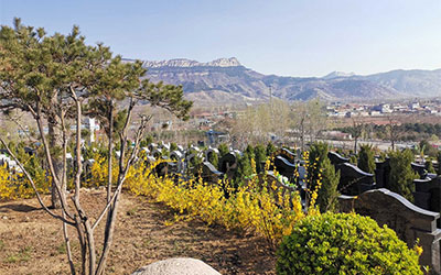 选墓地首看方向