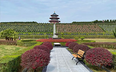 提前给老人买墓地要注意这些问题,公墓信息网整理如下