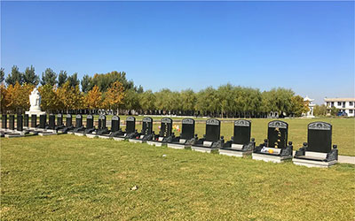 墓地不宜选在哪种地方