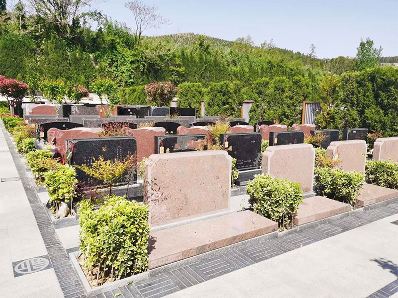 风水好的墓地都有以下几个特点 风水好的墓地都有以下几个特点