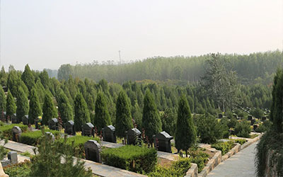选择墓地要注意以下几个大的方面