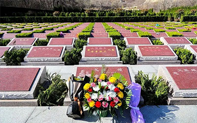 墓地不宜离墙根太近