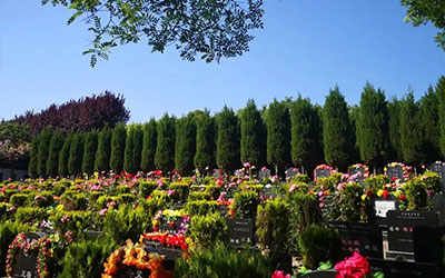 风水好的坟地怎么看?如何选择坟地?