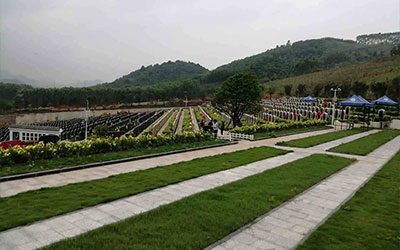 怎样在墓地中选择比较佳地点