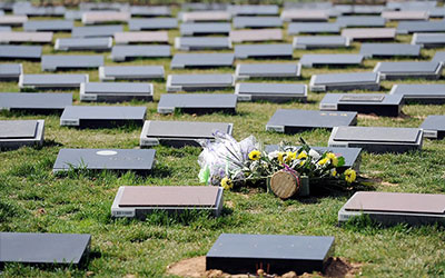 风水墓地学入门知识（关于墓地风水的知识）