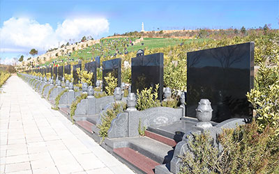 在昆明买墓地需要带的证件有哪些