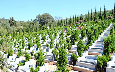 墓地什么朝向好有什么讲究？那边是吉利的？