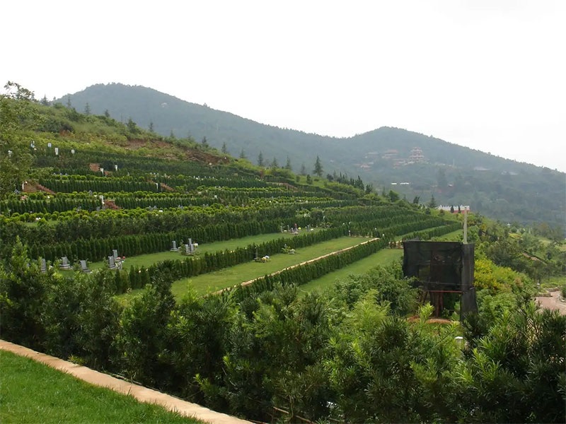 如何看陵园墓地公墓墓地墓园坟墓的风水好坏