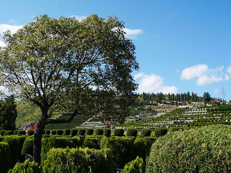 昆明哪家陵园比较好 昆明哪家陵园比较好