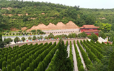 如何判断墓地管理是否得当？