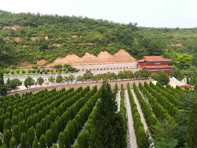 如何判断墓地管理是否得当 如何判断墓地管理是否得当