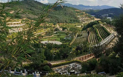昆明哪家陵园的自然景观比较好？绿化率怎么样？