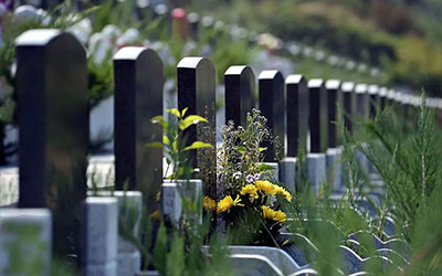 交钱买了墓地，老人去世后却无法入土为安，交钱买东西一定索要这一样东西