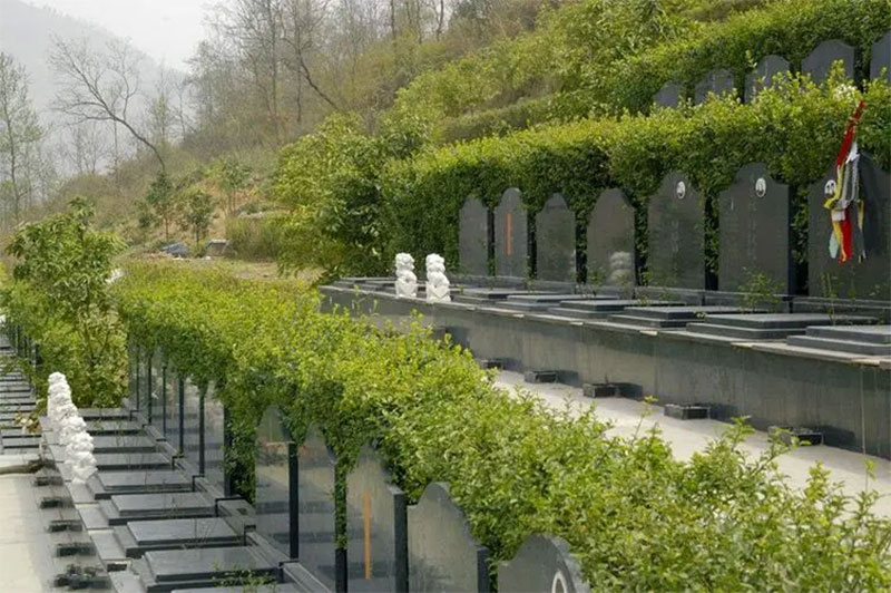 给老人选墓地的讲究