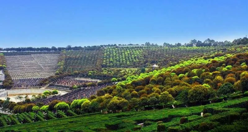 墓地朝向选择 墓地朝向选择