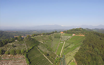 墓地风水，买墓地注意事项