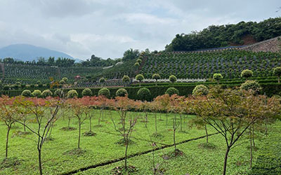 基础风水知识之平原墓地风水怎么看