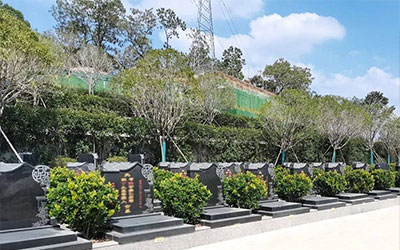 福人葬福地人死地开花，如何挑选阴宅