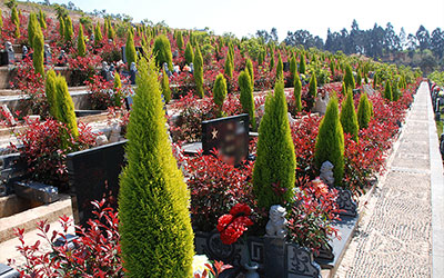 昆明性价比高的墓园有哪些？环境怎么样？